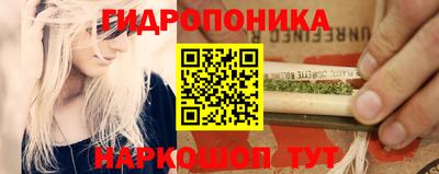 гидропоника Гусев