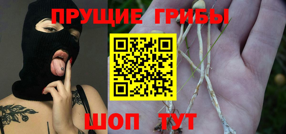 Псилоцибиновые грибы MAGIC MUSHROOMS  Вход с VPN  Камень-на-Оби  Галлюциногенные грибы MAGIC MUSHROOMS 