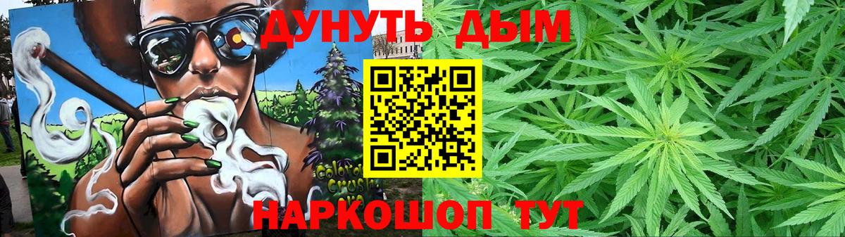 Конопля планчик Камень-на-Оби